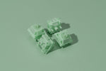 [In Stock] WS Jade Switch