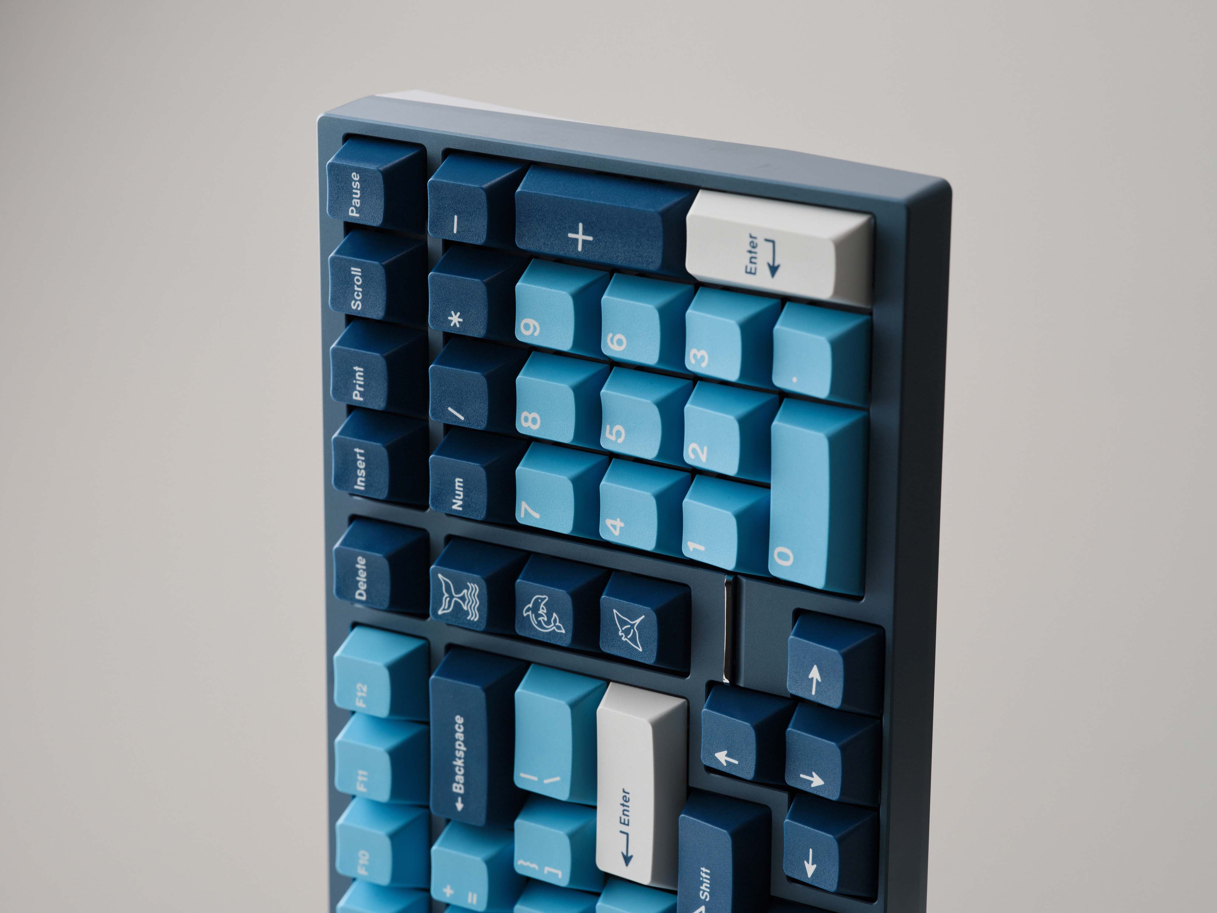 [In Stock] GMK CYL Manta