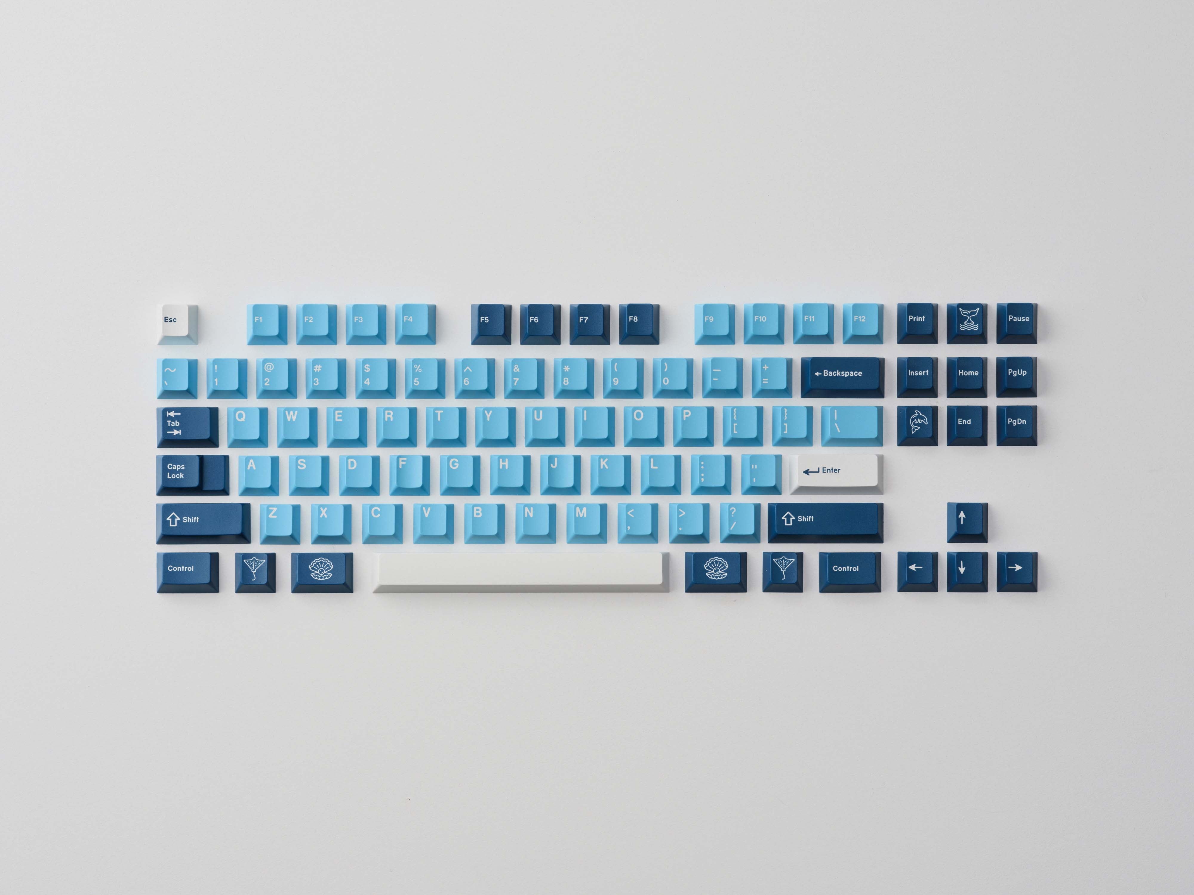 [In Stock] GMK CYL Manta