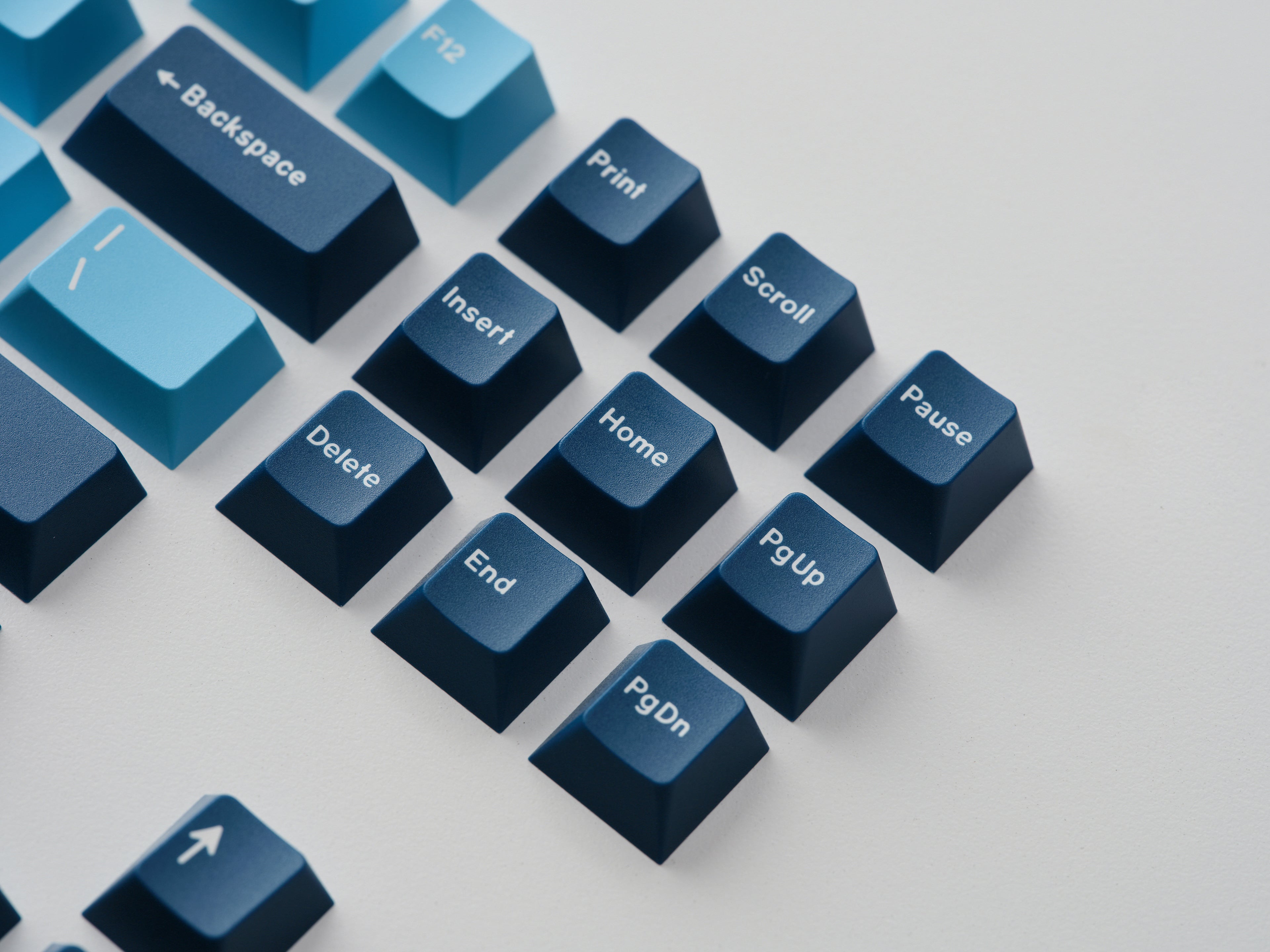 [In Stock] GMK CYL Manta