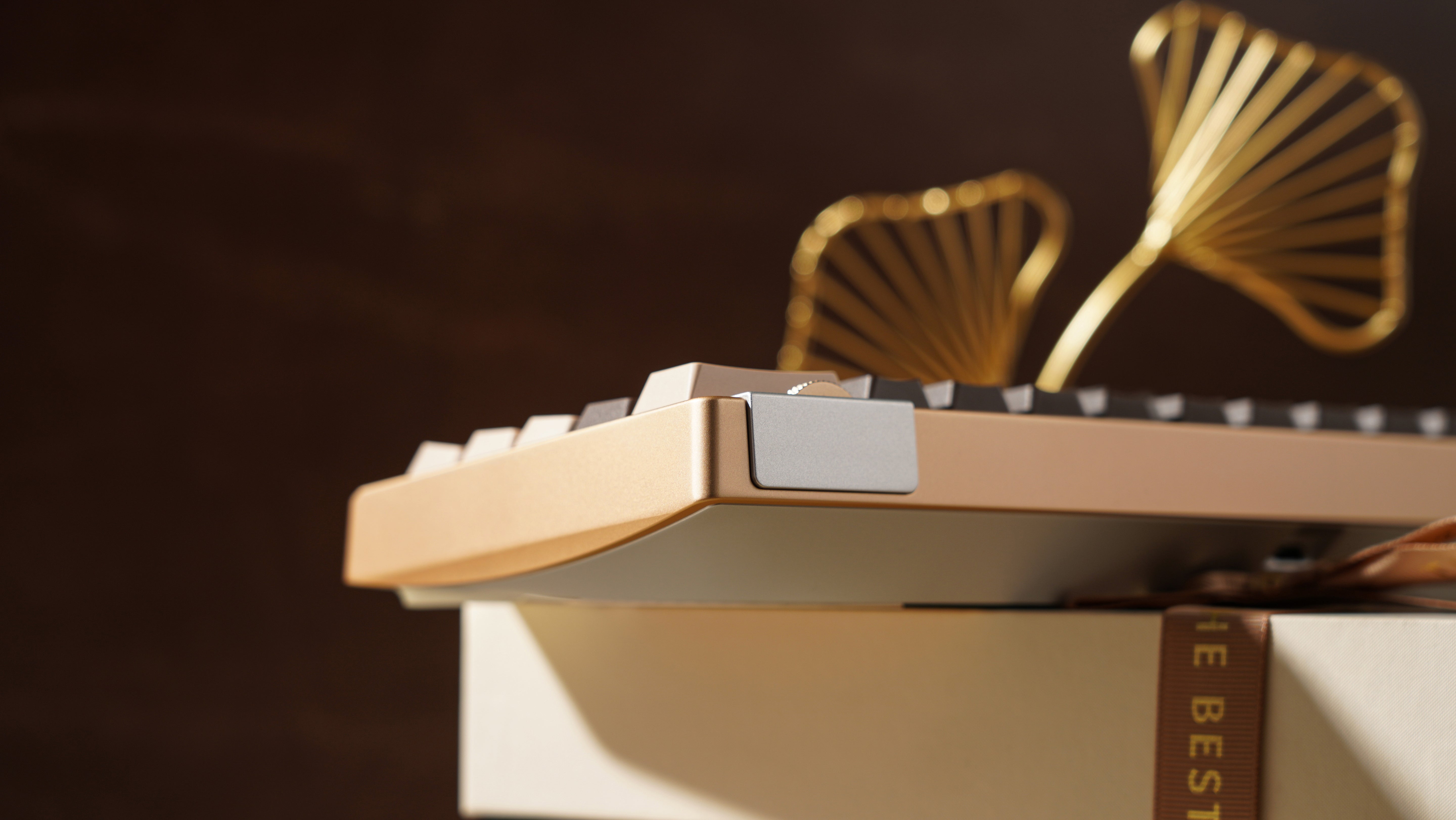 [Group Buy] ZOOM64 Velvet Gold