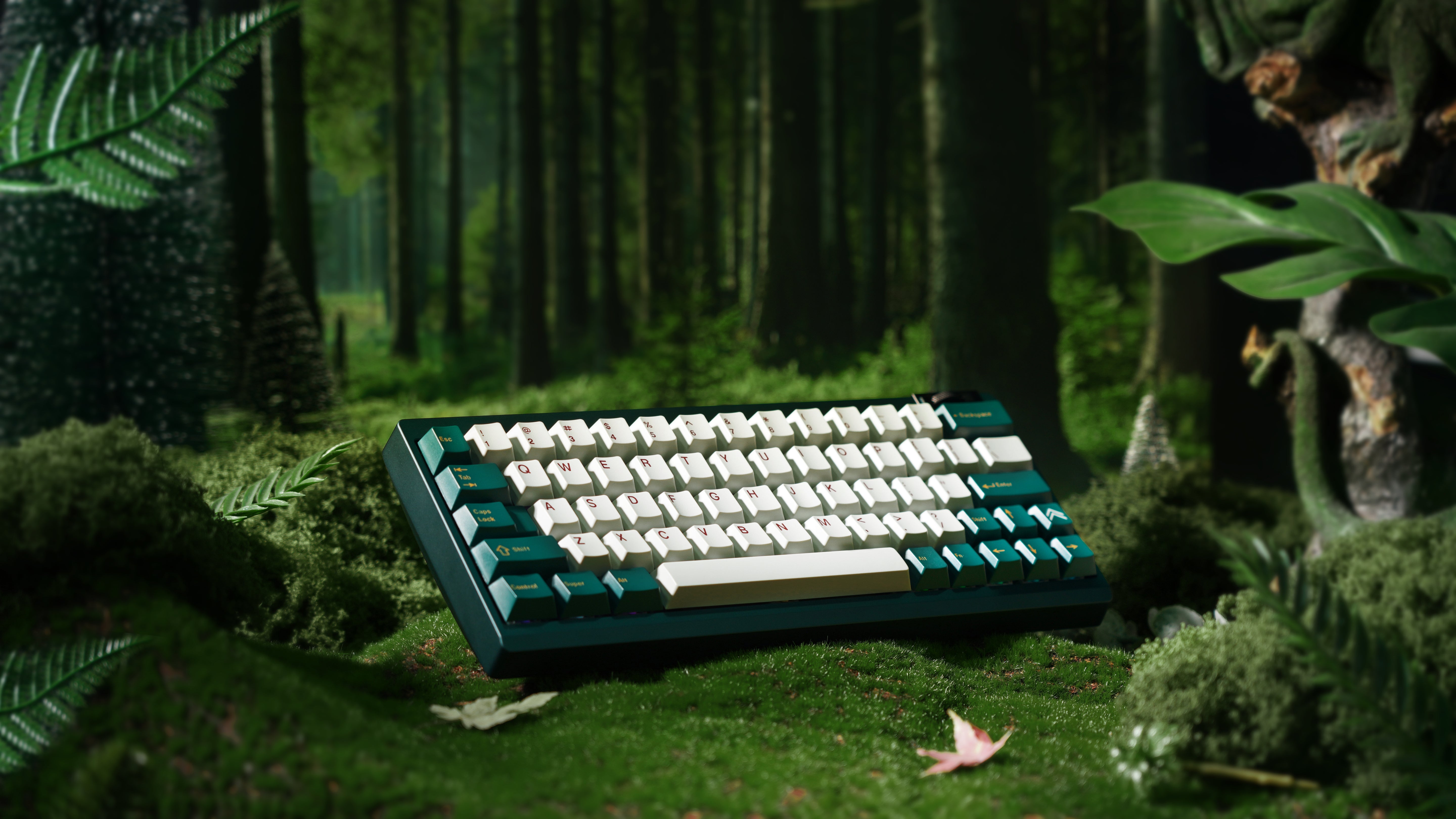 [Group Buy] ZOOM64 Ink Teal