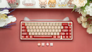 [In Stock] Paw65 Assembled Edition