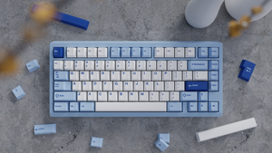 [In Stock] WS Zoom75 Matching keycaps