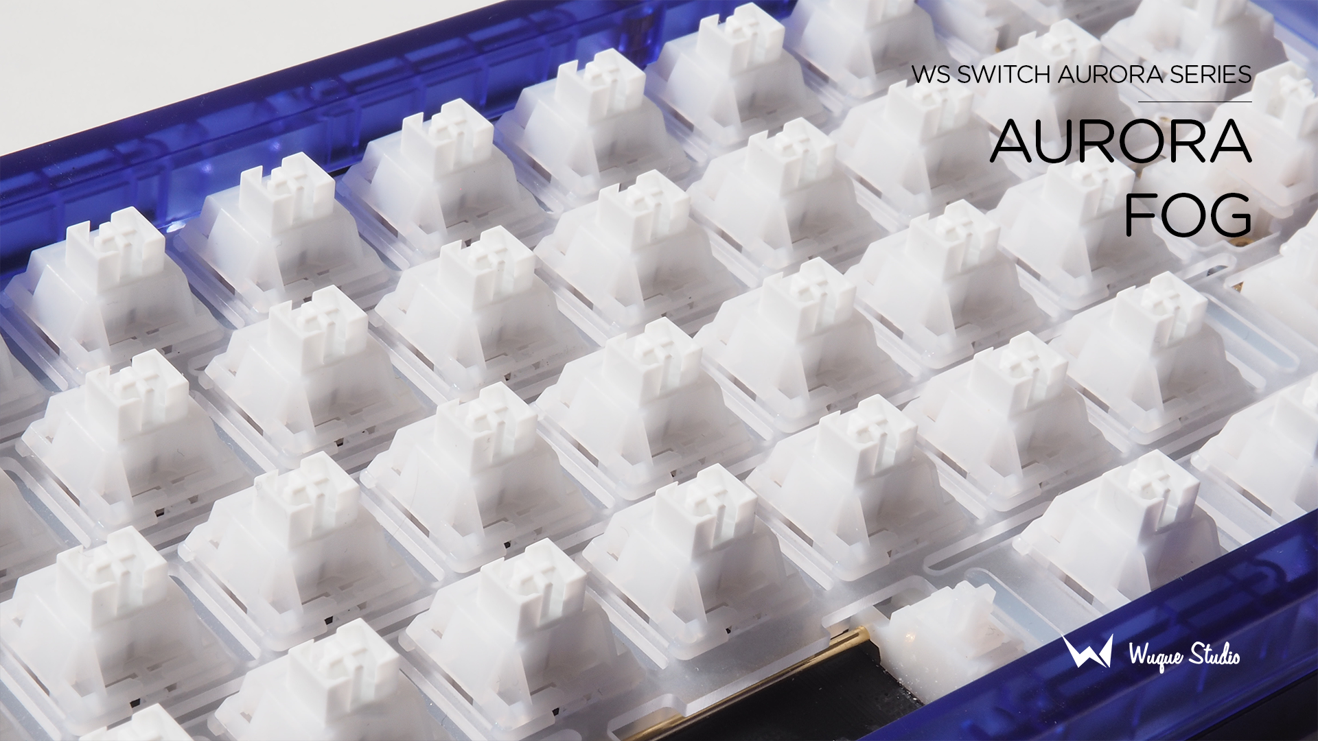 [In Stock] WS Switches Aurora Series