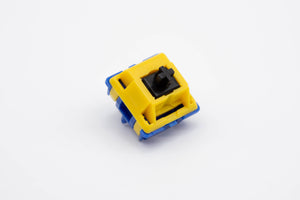 Blue Macaw Silent Tactile Switch