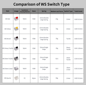 [In Stock] WS Switch Series