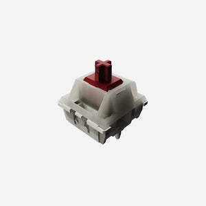 [In Stock] Revity Switch