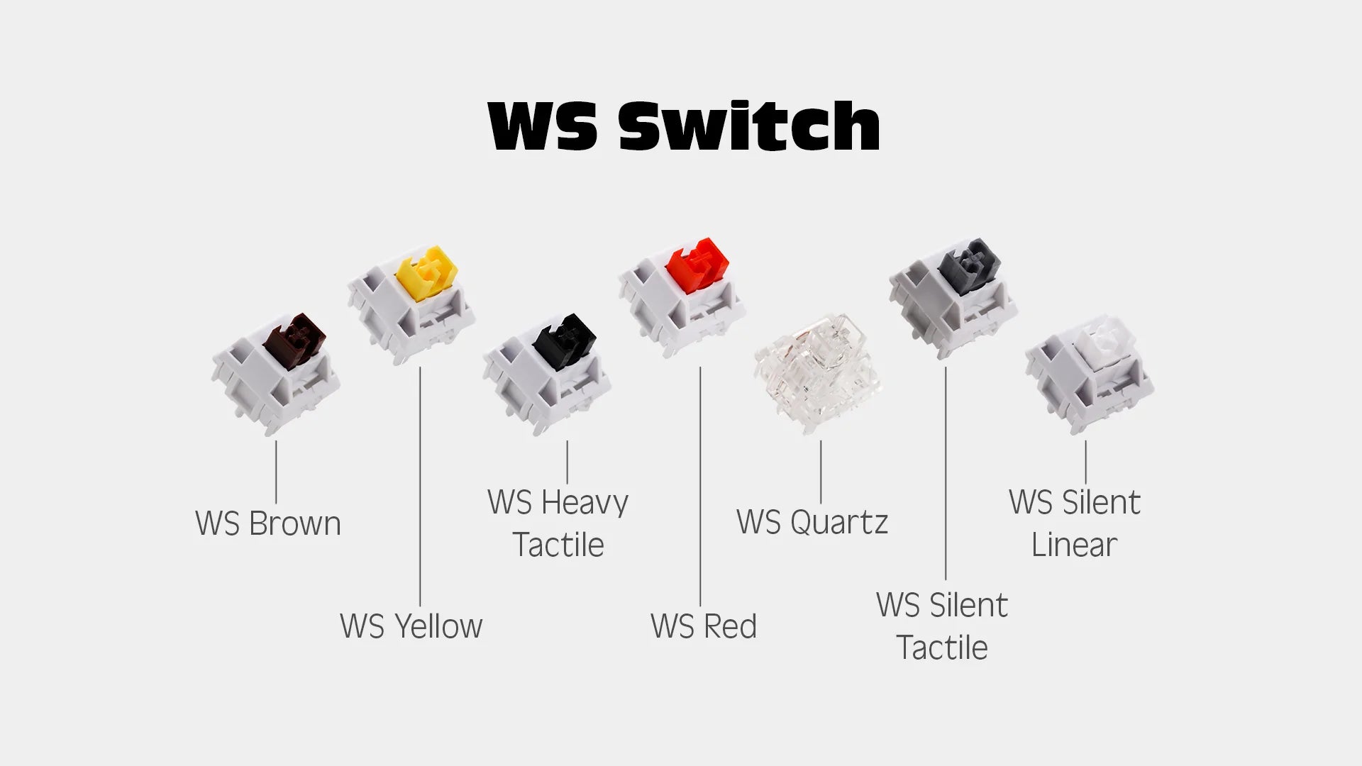 [In Stock] WS Switch Series